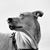 Carol J Forman's profile image