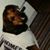 Wayne Rowe's profile image