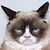 Gemini Thupten's profile image