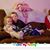 Sue Kirch's profile image