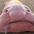 Regina Whitlow's profile image