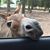 Cindy Meissner Neitsch's profile image