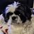 Cindy Paseur Johnson's profile image