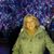 Lea Cheatham's profile image