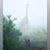 Monica Campi Romano's profile image