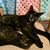 Gail Martin's profile image