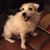 Romy Kaye's profile image