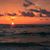Angela Ladner Williams's profile image