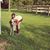 Bethany Hicklin Chase's profile image
