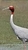Josiah F.'s profile image