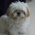 Judy Jeter's profile image