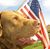 Mark Janssen's profile image