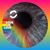 Jessica Meyer's profile image