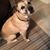 Holly Lawson-Williams's profile image