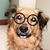 Sandy Gilliland's profile image