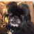 Kim Vargo DeLozier's profile image