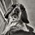 Mykhael Hayes's profile image