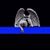Jeanne M. Fritts's profile image