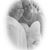 Donnetta Sullivan's profile image