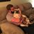 Christopher Bradshaw's profile image