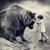 Terry Boyer's profile image