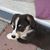 Caitlin Boyer's profile image
