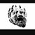 Mark Todd's profile image