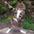 Karyn Boyd's profile image