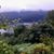 Connie Evans-Marquart's profile image