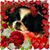Sherry Scalise's profile image