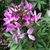 Barb Erickson's profile image