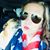 Shannon Emory Hartung's profile image