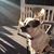 Lisab Wherley's profile image