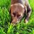 Karen Briske's profile image