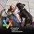 Amanda Averch's profile image