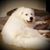 Cindy Dennis's profile image