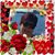 Daisy B Rodriguez's profile image