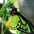 Gail Beherns Adams's profile image
