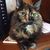 Beverly Arnold Robertson's profile image