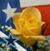 Dil Williams's profile image