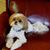 Betty Lindquist's profile image