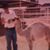 Donny Misenar's profile image