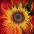 Amy Seymour's profile image