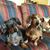 Tricia Waldschmidt's profile image