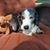 Joan Graiser's profile image