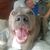 Michelle Hanf Bodtke's profile image