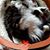 Joyce Good's profile image