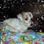 Jann Wingert O'Neal-Hudson's profile image