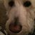 Terrie Pope's profile image