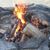 Kim Wells Collins's profile image
